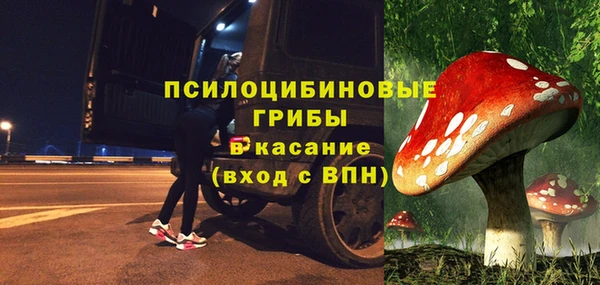 ПСИЛОЦИБИНОВЫЕ ГРИБЫ Гусиноозёрск