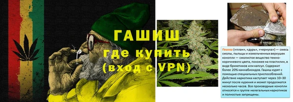 гидра Елизово