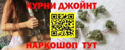 PSILOCYBIN Гатчина