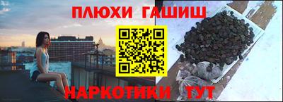 PSILOCYBIN Гатчина